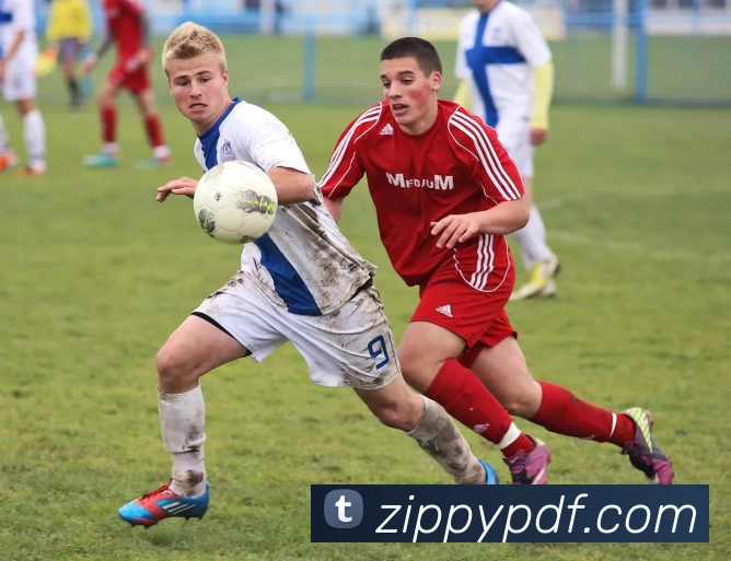 巅峰国际品牌故事